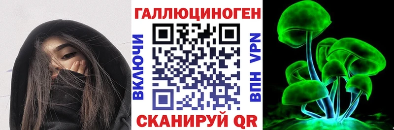 Купить  Балашов  Псилоцибиновые грибы Psilocybine cubensis 